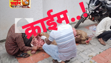 Photo of भोकर पोलीसांनी अवैध विक्रीसाठी नेत असलेले ६० किलो गोवंश मांस पकडले